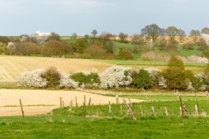 Vilda_86047_Akkerranden_zonder_haagkanten_Jeroen_Mentens_A5_34329 (2)